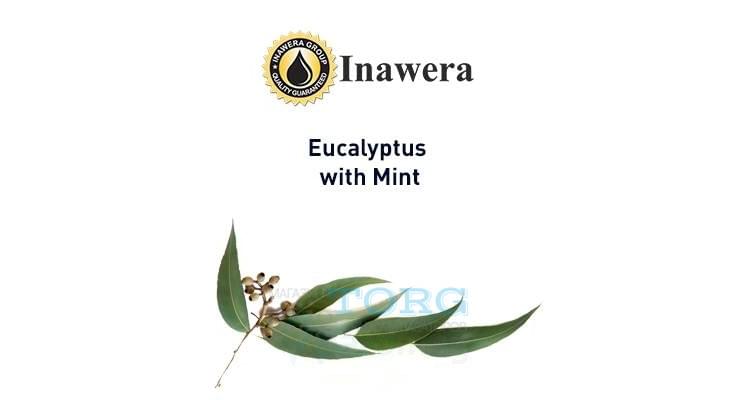 Изображение Ароматизатор Inawera Eucalyptus + Mint Ароматизатор Inawera Eucalyptus + Mint