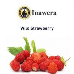 Wild Strawberry Inawera Wild Strawberry Inawera